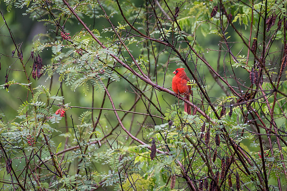 20180414-WTM_3798.jpg