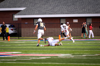 DSC_8424.jpg