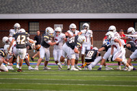 DSC_8429.jpg