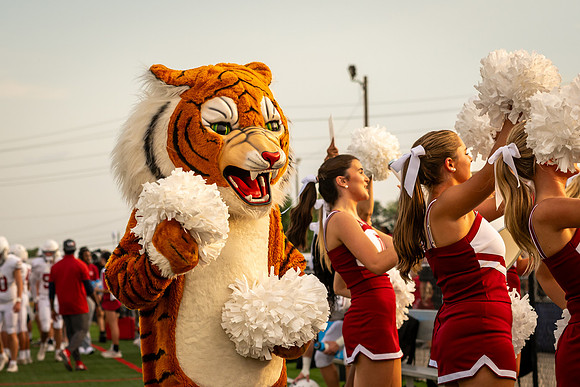 DSC_8431.jpg