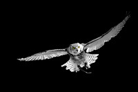 WTM_0729-Edit.jpg