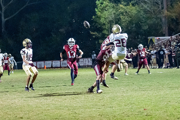 DSC_7521.jpg