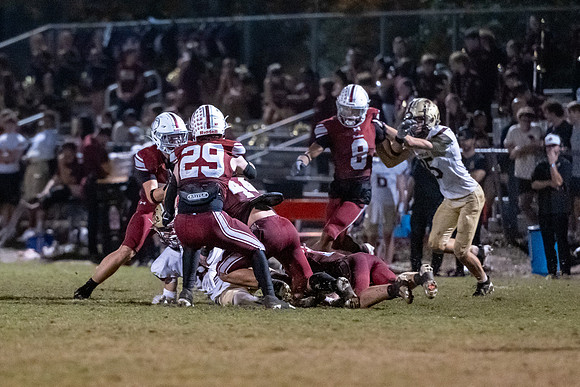 DSC_7653.jpg