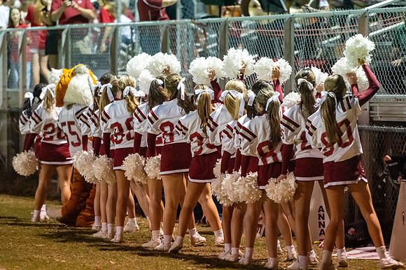 DSC_7781.jpg