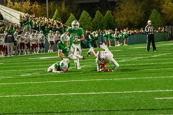 DSC_8487.jpg