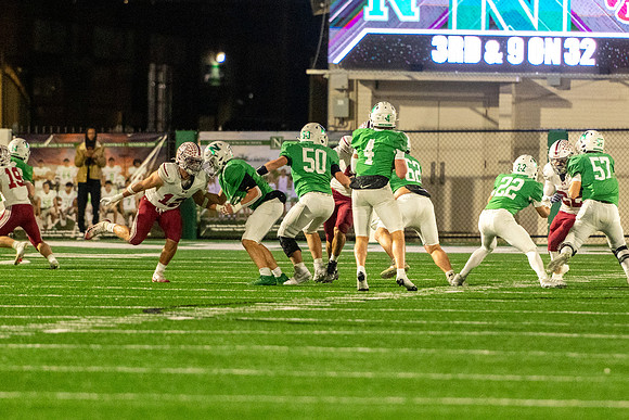 DSC_8677.jpg