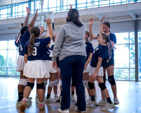 Volleyball