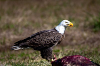 WTM_0169.jpg