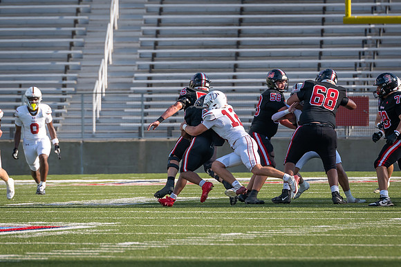 DSC_2626.jpg