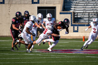 DSC_2581.jpg