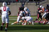 DSC_2592.jpg