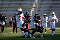 DSC_2673.jpg