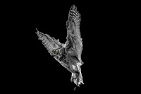 WTM_0719-Edit-2.jpg