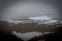 WTM_9949.jpg
