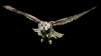 WTM_0769-Edit.jpg