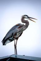 WTM_2785.jpg
