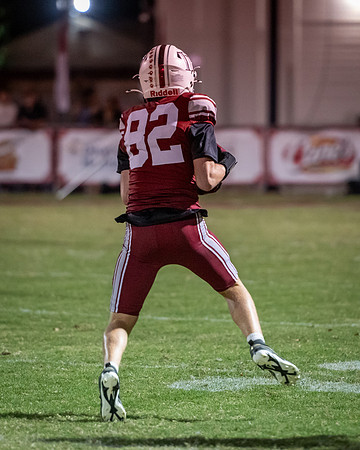 DSC_2864.jpg