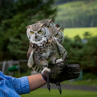 WTM_0803-Edit.jpg