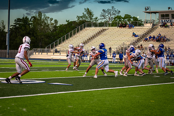 DSC_0395.jpg