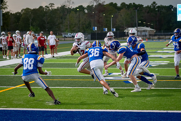 DSC_0411.jpg