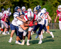 v EHS