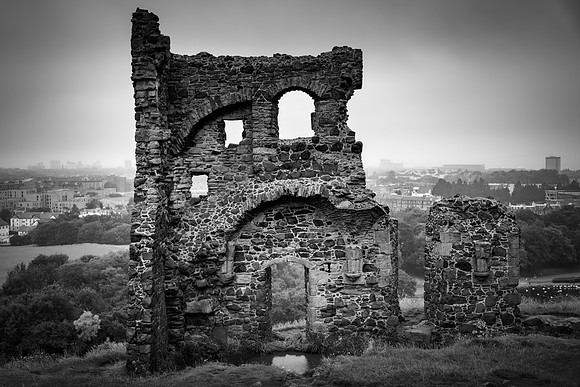 WTM_9636-Edit.jpg