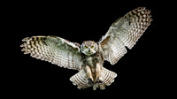 WTM_0771-Edit.jpg