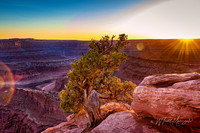 Dead Horse State Park