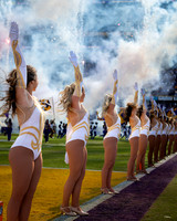 LSU Tiger Football