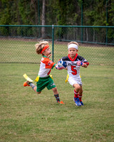 DSC_2011.jpg