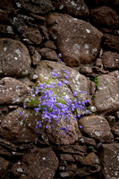 WTM_9965.jpg