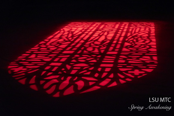 DSC_5267.jpg