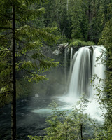 WTM_0198-Edit.jpg