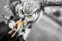 WTM_0815-Edit.jpg