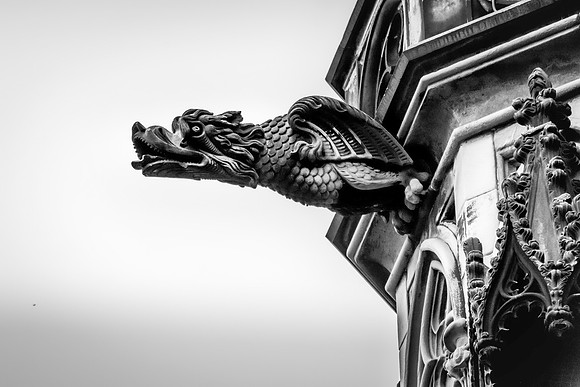 WTM_8939-Edit.jpg