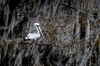 WTM_9016.jpg