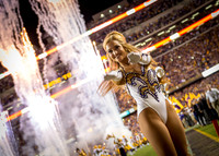Geaux Tigers