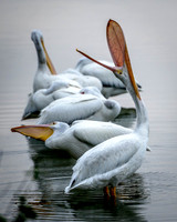 DSC_1379.jpg