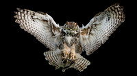 WTM_0772-Edit.jpg