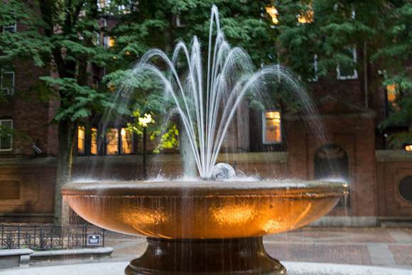 20170730-DSC_6767.jpg