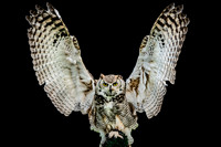 WTM_0773-Edit.jpg