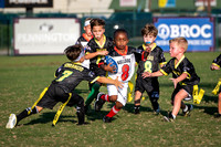 Bulldogs2024