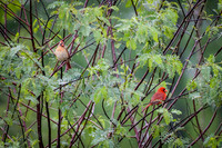 20180414-WTM_3772.jpg