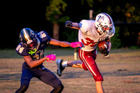 JV vs EHS
