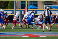DSC_9528.jpg