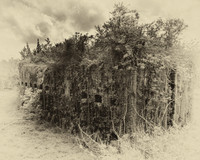 Fort Macomb